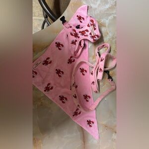 Pink Crawfish Dog Harness Set CocoPup 
Harness, leash, bandana XS